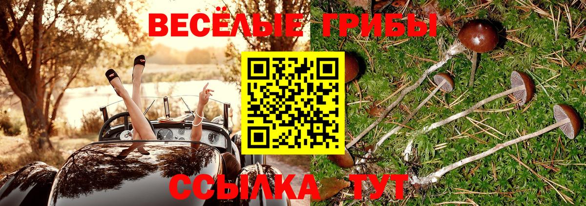 Псилоцибиновые грибы ЛСД Котлас