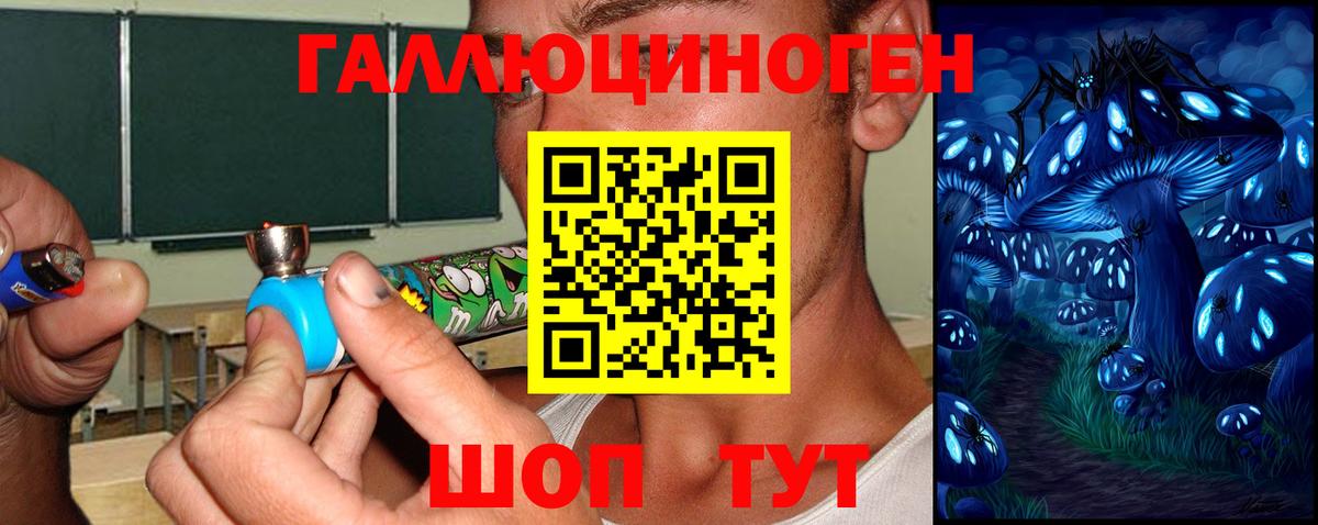 Псилоцибиновые грибы Magic Shrooms  Галлюциногенные грибы мицелий  Котлас  Вход с VPN 